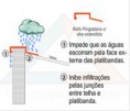 /album/galeria-de-fotos%3a-produtos-e-servi%c3%a7os1/rufospingcomabaestendida-jpg/